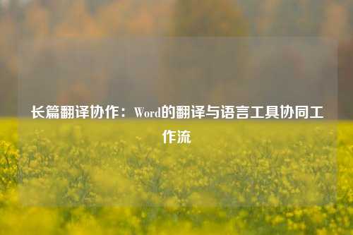 长篇翻译协作：Word的翻译与语言工具协同工作流