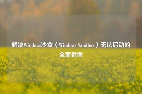 解决Windows沙盒（Windows Sandbox）无法启动的全面指南