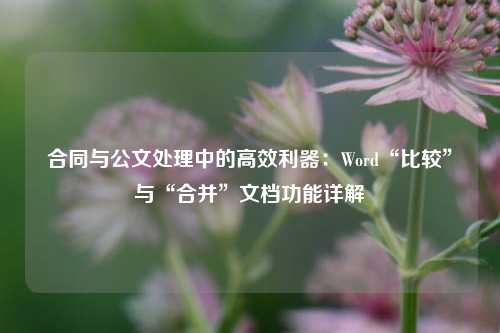 合同与公文处理中的高效利器：Word“比较”与“合并”文档功能详解