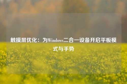 触摸屏优化：为Windows二合一设备开启平板模式与手势