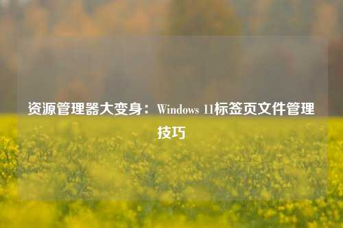 资源管理器大变身：Windows 11标签页文件管理技巧