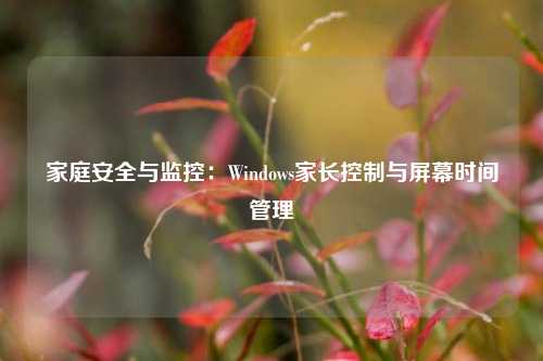 家庭安全与监控：Windows家长控制与屏幕时间管理