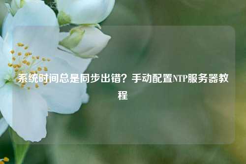 系统时间总是同步出错？手动配置NTP服务器教程
