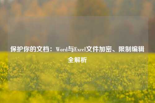 保护你的文档：Word与Excel文件加密、限制编辑全解析
