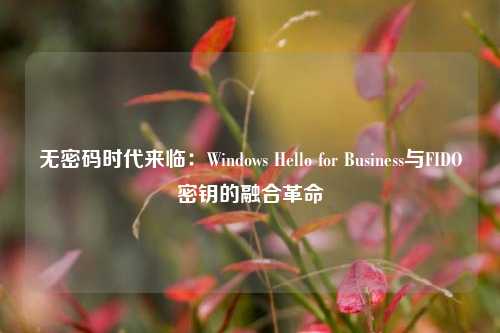 无密码时代来临：Windows Hello for Business与FIDO密钥的融合革命