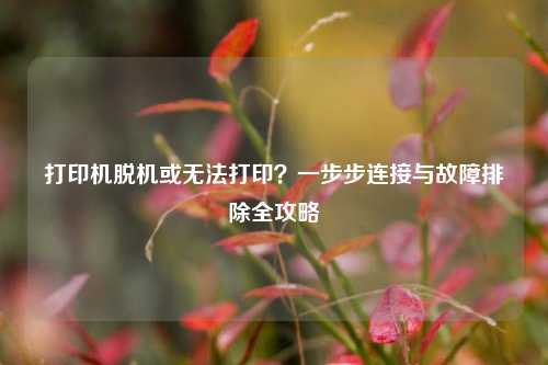 打印机脱机或无法打印？一步步连接与故障排除全攻略