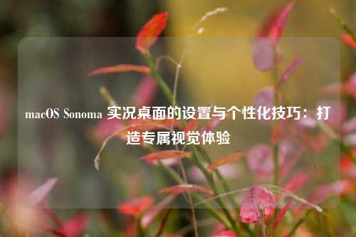 macOS Sonoma 实况桌面的设置与个性化技巧：打造专属视觉体验