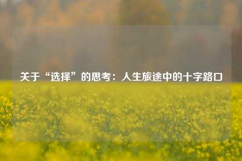 关于“选择”的思考：人生旅途中的十字路口