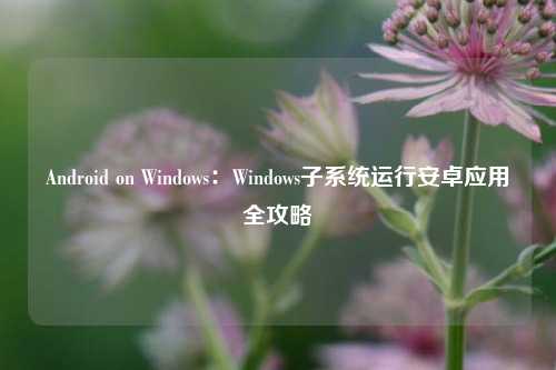 Android on Windows：Windows子系统运行安卓应用全攻略