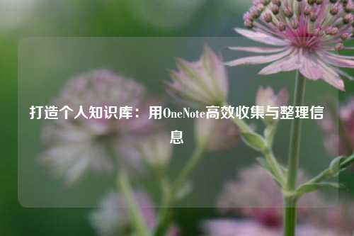 打造个人知识库：用OneNote高效收集与整理信息