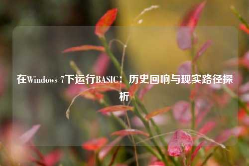在Windows 7下运行BASIC：历史回响与现实路径探析