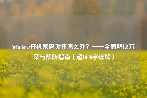 Windows开机密码锁住怎么办?——全面解决方案与预防指南(超1000字详解)