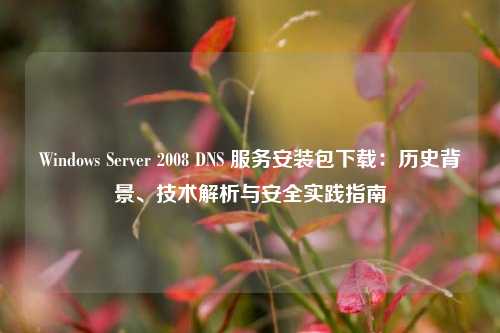 Windows Server 2008 DNS 服务安装包下载:历史背景、技术解析与安全实践指南