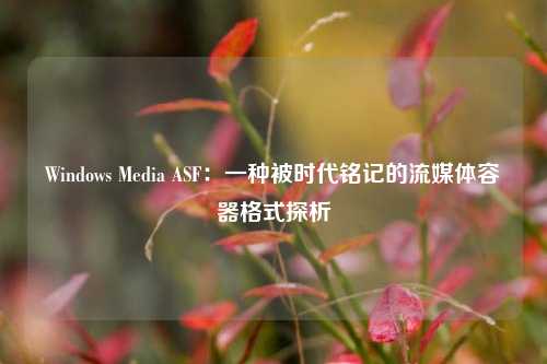 Windows Media ASF：一种被时代铭记的流媒体容器格式探析