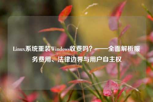 Linux系统重装Windows收费吗？——全面解析服务费用、法律边界与用户自主权