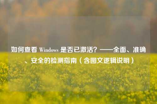 如何查看 Windows 是否已激活？——全面、准确、安全的检测指南（含图文逻辑说明）