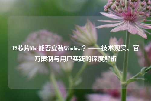 T2芯片Mac能否安装Windows？——技术现实、官方限制与用户实践的深度解析