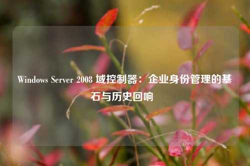 Windows Server 2008 域控制器：企业身份管理的基石与历史回响  