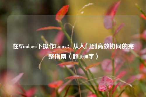 在Windows下操作Linux：从入门到高效协同的完整指南（超1000字）