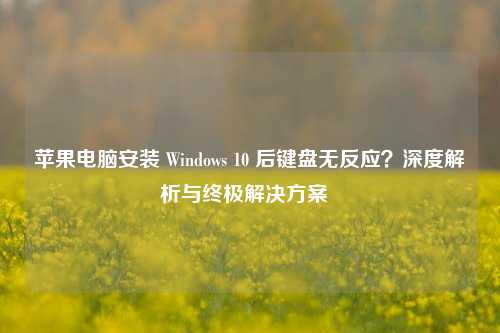 苹果电脑安装 Windows 10 后键盘无反应?深度解析与终极解决方案