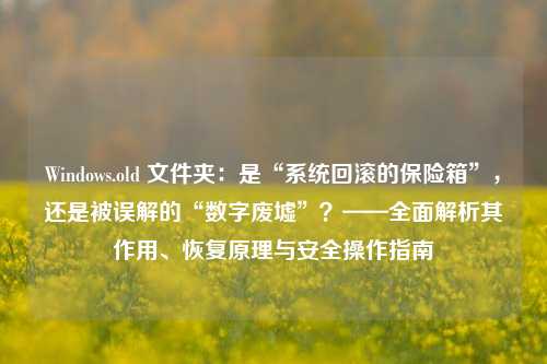 Windows.old 文件夹：是“系统回滚的保险箱”，还是被误解的“数字废墟”？——全面解析其作用、恢复原理与安全操作指南