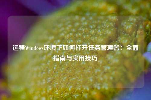 远程Windows环境下如何打开任务管理器：全面指南与实用技巧
