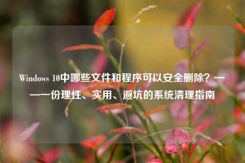 Windows 10中哪些文件和程序可以安全删除？——一份理性、实用、避坑的系统清理指南