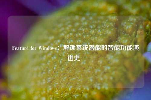 Feature for Windows：解锁系统潜能的智能功能演进史  