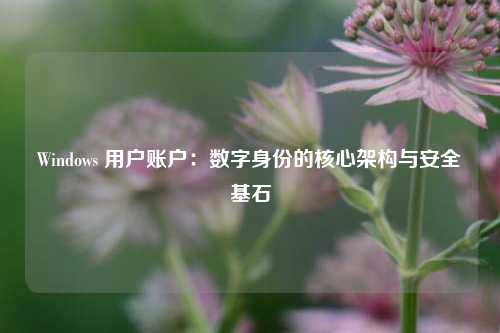Windows 用户账户：数字身份的核心架构与安全基石