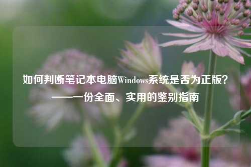 如何判断笔记本电脑Windows系统是否为正版？——一份全面、实用的鉴别指南