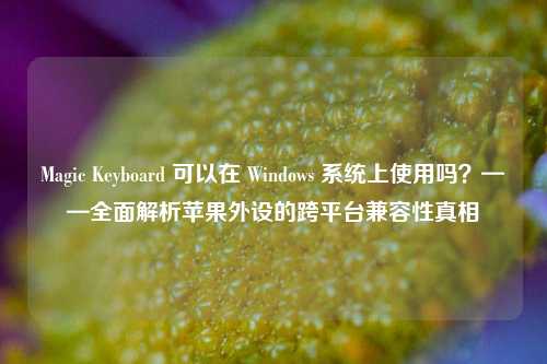 Magic Keyboard 可以在 Windows 系统上使用吗？——全面解析苹果外设的跨平台兼容性真相