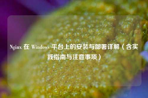 Nginx 在 Windows 平台上的安装与部署详解（含实践指南与注意事项）