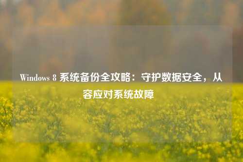 Windows 8 系统备份全攻略：守护数据安全，从容应对系统故障  
