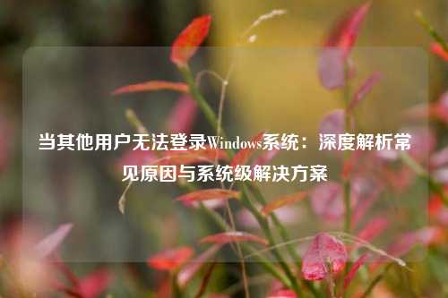 当其他用户无法登录Windows系统：深度解析常见原因与系统级解决方案