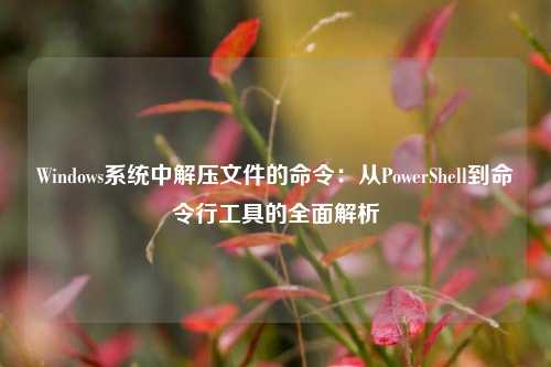 Windows系统中解压文件的命令：从PowerShell到命令行工具的全面解析