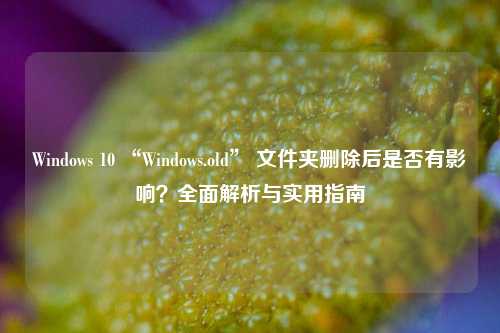 Windows 10 “Windows.old” 文件夹删除后是否有影响？全面解析与实用指南