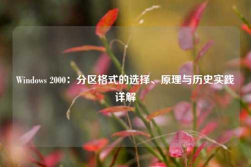Windows 2000：分区格式的选择、原理与历史实践详解
