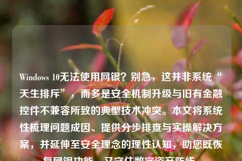 Windows 10无法使用网银？别急，这并非系统“天生排斥”，而多是安全机制升级与旧有金融控件不兼容所致的典型技术冲突。本文将系统性梳理问题成因、提供分步排查与实操解决方案，并延伸至安全理念的理性认知，助您既恢复网银功能，又守住数字资产防线。