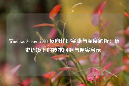 Windows Server 2003 反向代理实践与深度解析：历史语境下的技术回溯与现实启示  