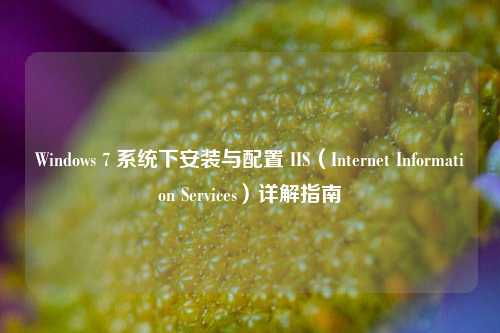 Windows 7 系统下安装与配置 IIS（Internet Information Services）详解指南