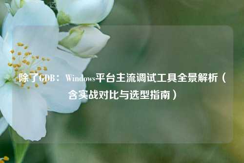 除了GDB:Windows平台主流调试工具全景解析(含实战对比与选型指南)