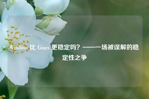 Windows 比 Linux 更稳定吗？——一场被误解的稳定性之争