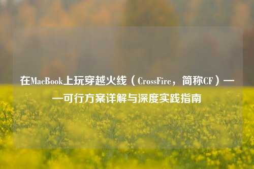在MacBook上玩穿越火线（CrossFire，简称CF）——可行方案详解与深度实践指南