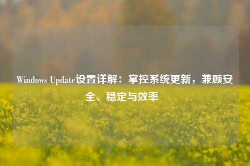 Windows Update设置详解：掌控系统更新，兼顾安全、稳定与效率  