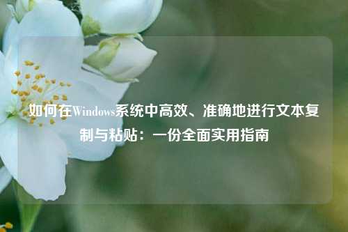 如何在Windows系统中高效、准确地进行文本复制与粘贴:一份全面实用指南