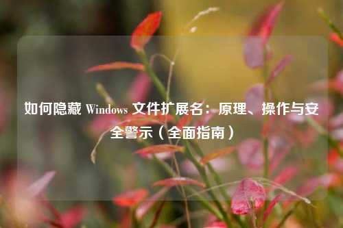 如何隐藏 Windows 文件扩展名：原理、操作与安全警示（全面指南）