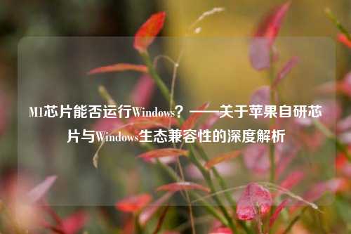 M1芯片能否运行Windows?——关于苹果自研芯片与Windows生态兼容性的深度解析