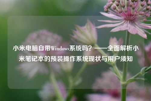 小米电脑自带Windows系统吗?——全面解析小米笔记本的预装操作系统现状与用户须知