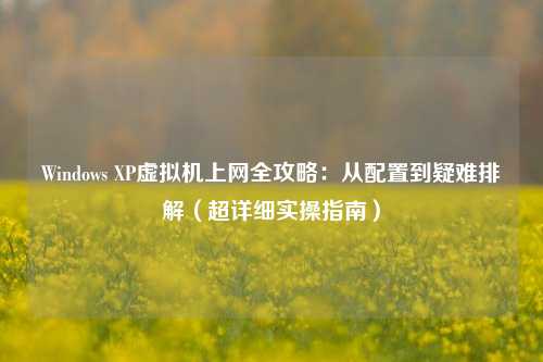 Windows XP虚拟机上网全攻略：从配置到疑难排解（超详细实操指南）