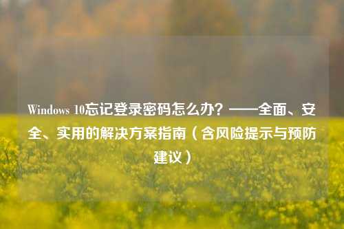 Windows 10忘记登录密码怎么办？——全面、安全、实用的解决方案指南（含风险提示与预防建议）